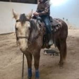 Meet your Posher, Logan